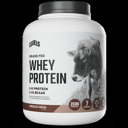 Whey Protein