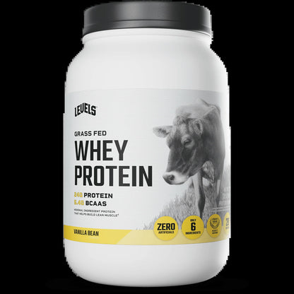Whey Protein