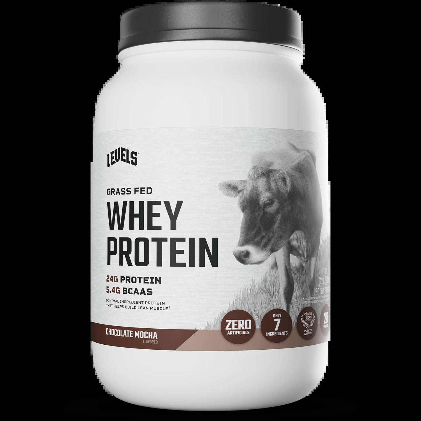 Whey Protein