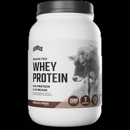 Whey Protein