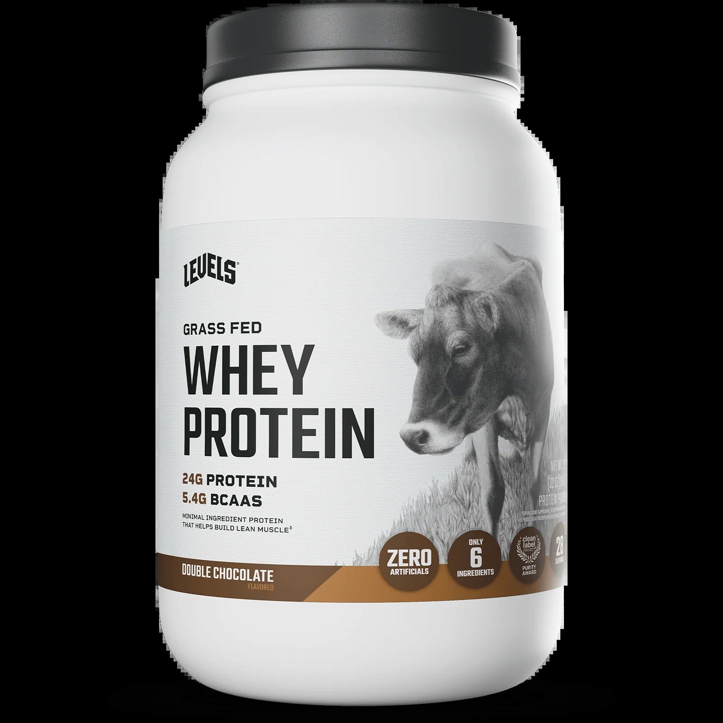 Whey Protein