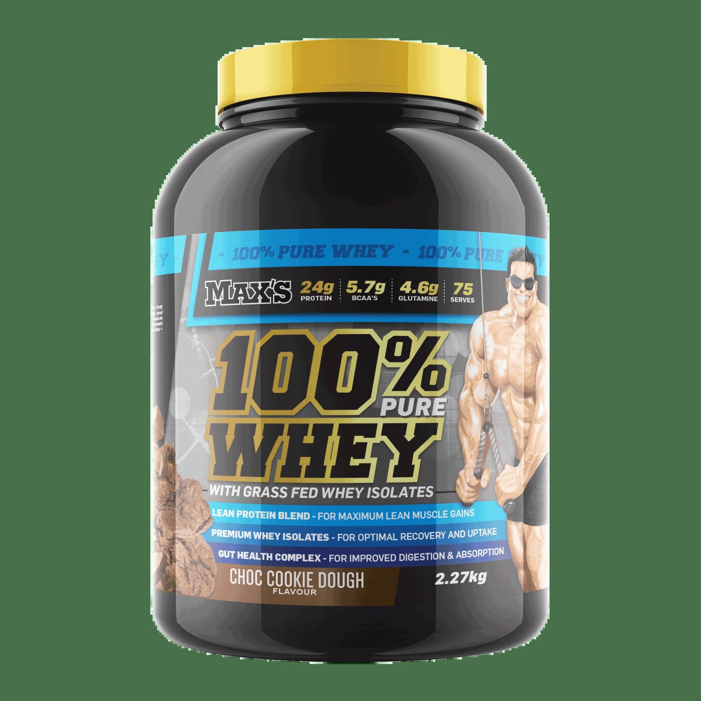 100% Whey Protein