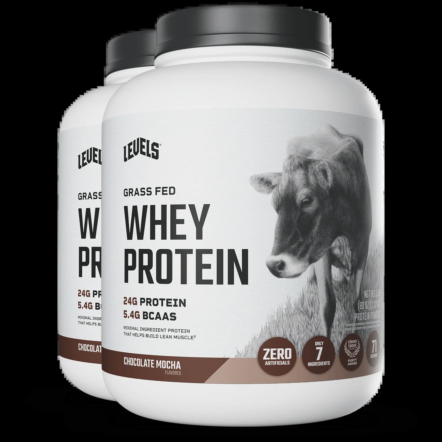 Whey Protein