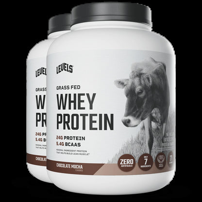 Whey Protein
