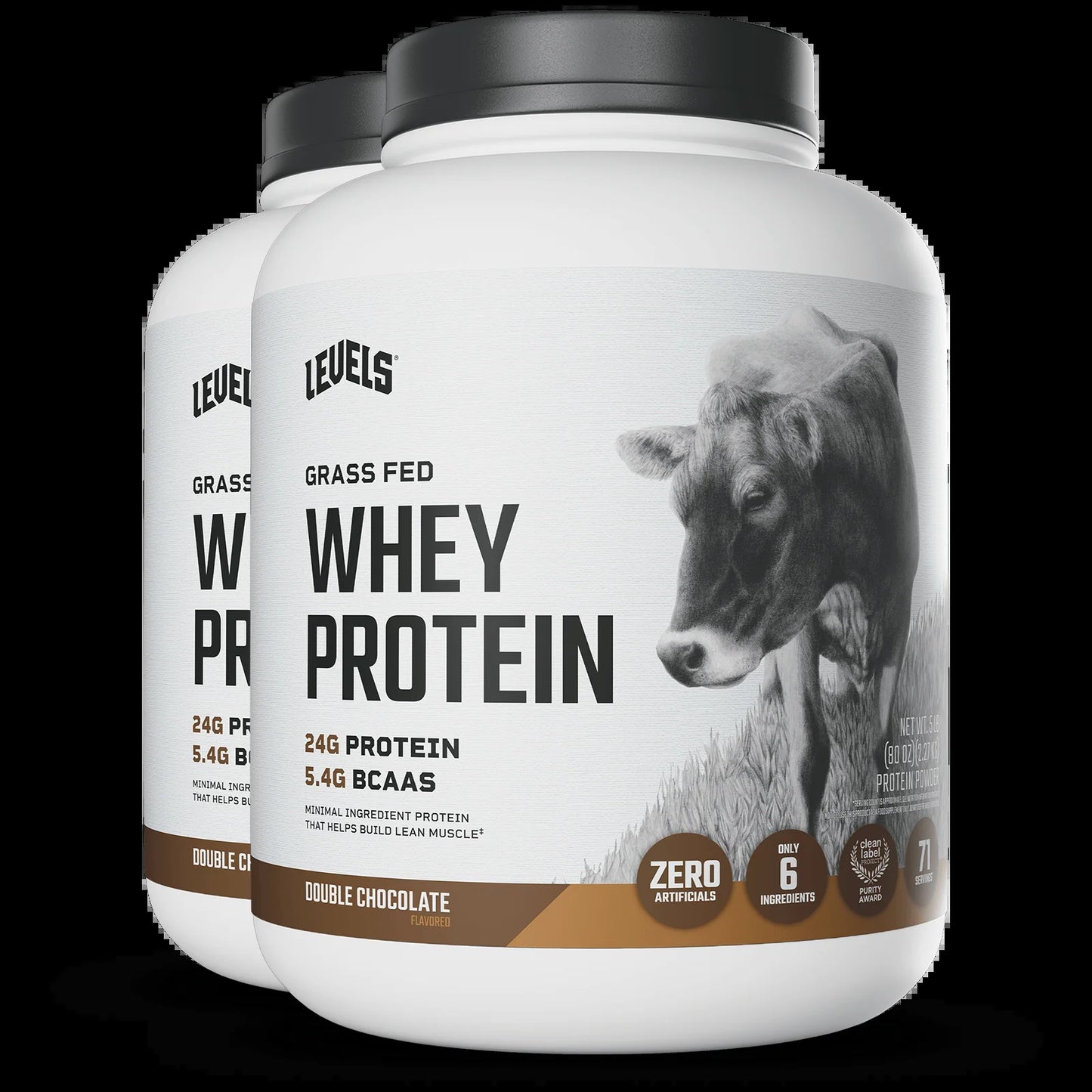 Whey Protein