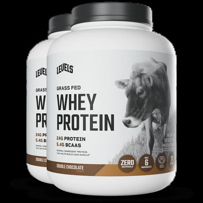 Whey Protein