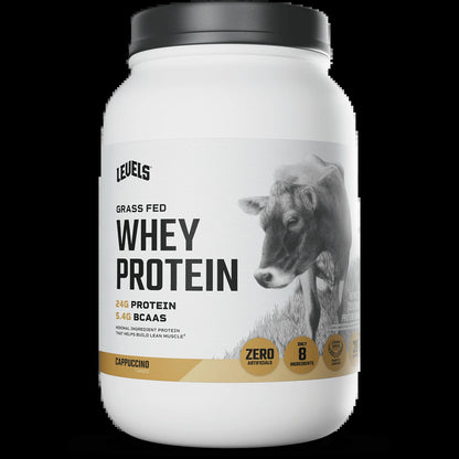 Whey Protein
