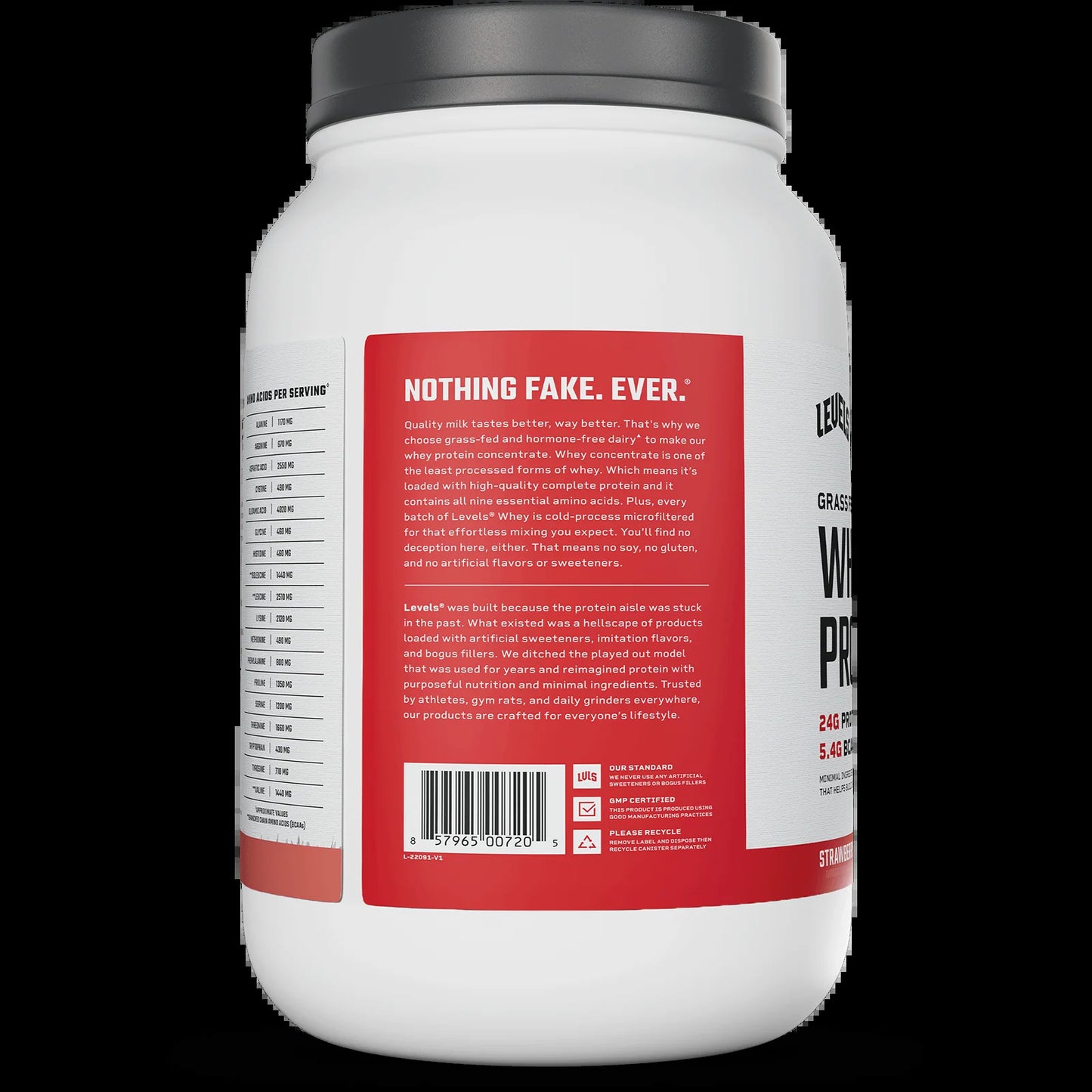 Whey Protein