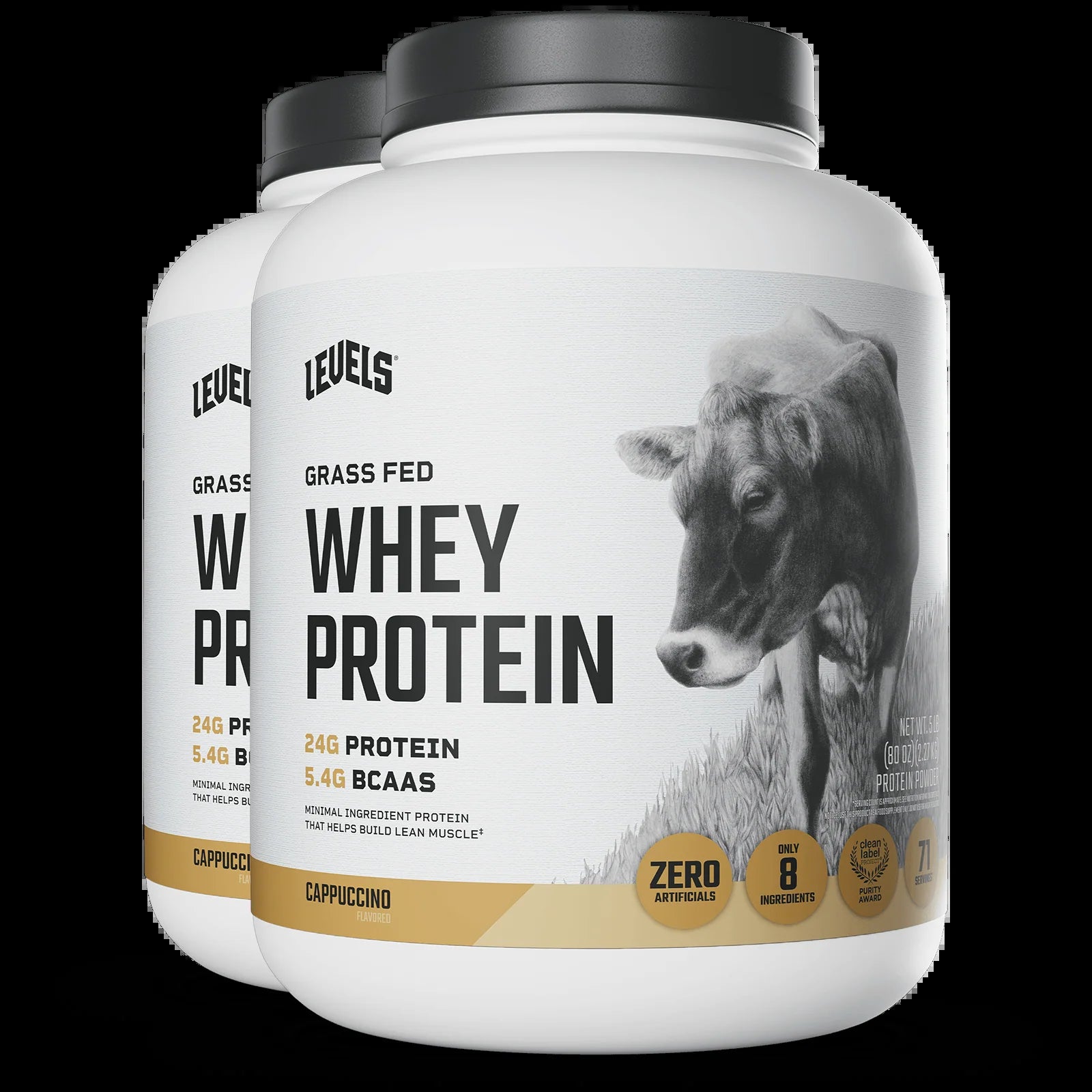 Whey Protein