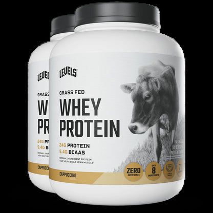 Whey Protein